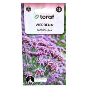 WERBENA PATAGOŃSKA Verbena bonariensis - nasiona kwiatów Toraf 0,2g
