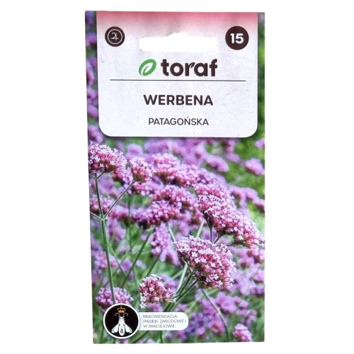 werbena-patag-1.png