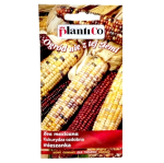 KUKURYDZA OZDOBNA MIX kolorowa, nasiona 4g