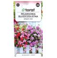 pelargonia-speedy-1.png