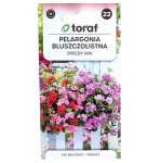 Pelargonia zwisająca Speedy - bluszczolistna, mix kolorów - 10 nasion Toraf