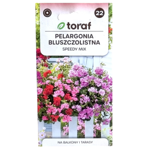 Pelargonia zwisająca Speedy - bluszczolistna, mix kolorów - 10 nasion Toraf