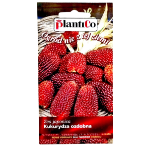 KUKURYDZA ozdobna TRUSKAWKOWA nasiona 2g