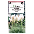 trawa-pampas-biala-1.png