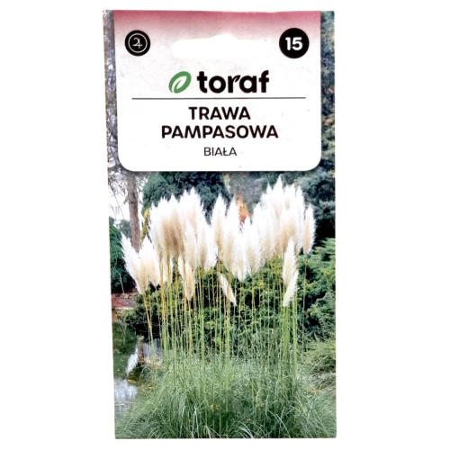 trawa-pampas-biala-1.png
