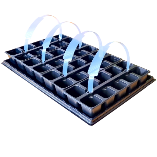 rozsadnik-horti40-1.png