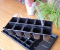 rozsadnik-horti40-5.jpg