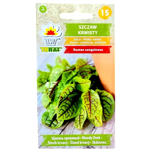 szczaw-krwisty-1.png