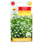 KARMNIK OŚCISTY - bylina na skalniak, białe kwiaty - nasiona Toraf 0,05g