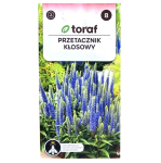 PRZETACZNIK KŁOSOWY - długo kwitnąca bylina - nasiona Toraf 0,1g