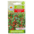 komosa-rozgowa-1.png