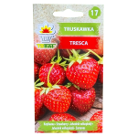 Truskawka TRESCA - gruntowa i doniczkowa - nasiona Toraf 20 szt.