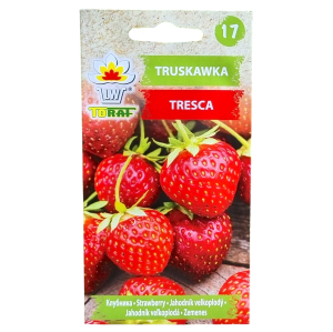 Truskawka TRESCA - gruntowa i doniczkowa - nasiona Toraf 20 szt.