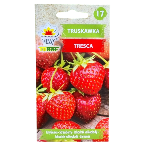 truskawka-1.png