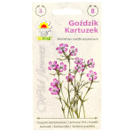 GOŹDZIK KARTUZEK - bylina na skalniak - nasiona Toraf Wild Flowers 0,2g