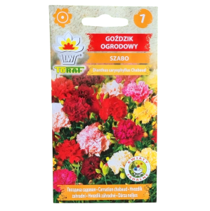 Goździk ogrodowy SZABO MIX - kwiaty pełne, pachnące - nasiona Toraf 0,5g