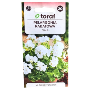 PELARGONIA RABATOWA BIAŁA - Pelargonium zonale - nasiona Toraf 0,05g