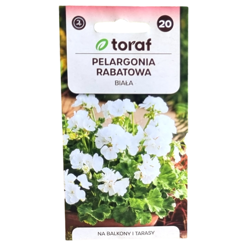 pelargonia-rabatowa-biala-1.png