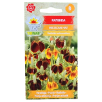 Ratibida MEXICAN HAT - meksykański kapelusz - nasiona Toraf 0,5g