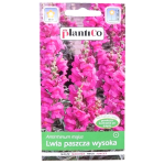 LWIA PASZCZA WYSOKA RÓŻOWA - piękne kwiaty - nasiona Plantico 0,5g