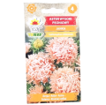 aster-janka-1.png