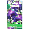 kobea-fiolet-1.png