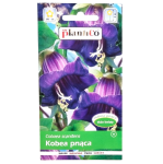Kobea pnąca fioletowa - Cobea scandens - nasiona kobei Plantico 0,5g