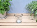 cyntia-clear-3.jpg