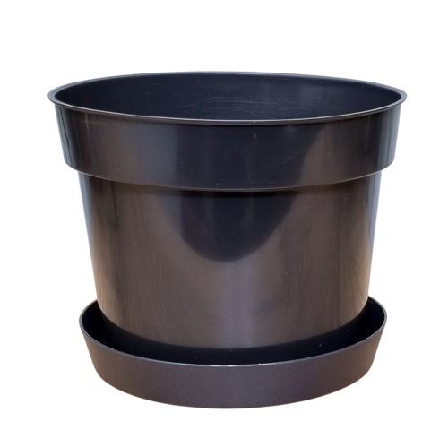 d-17-ok-lofly-15-1.png