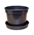 d-15-ok-lofly-15-1.png