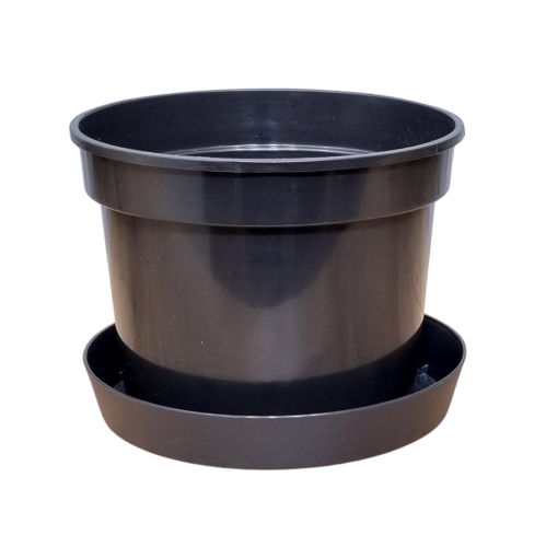 d-15-ok-lofly-15-1.png