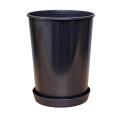do-roz-14-lofly-12-1.png