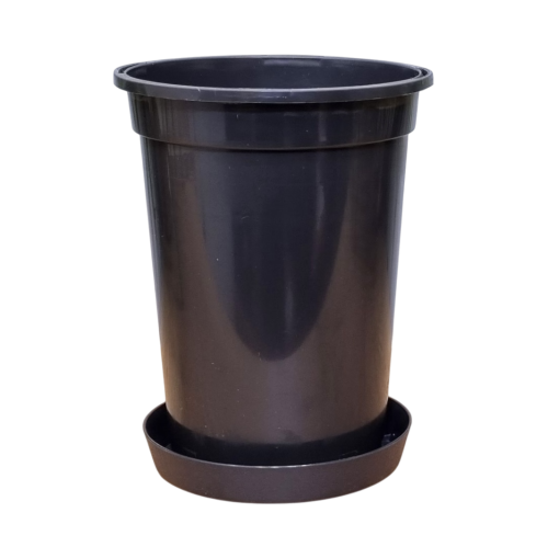 do-roz-14-wys-lofly-12-1.png