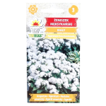 ŻENISZEK meksykański BIAŁY - Ageratum - nasiona Toraf 0,2g