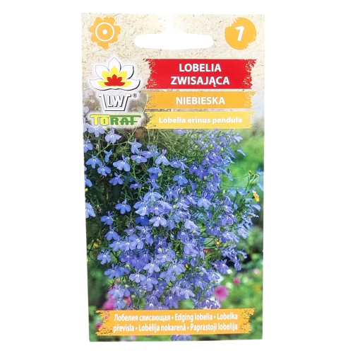 lobelia-zwis-nieb-1.png
