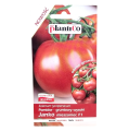 pomidor-janko-1.png