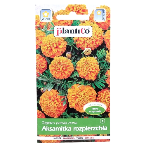 aksamitka-rozp-pom-1.png