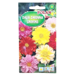 Dalia zmienna karłowa Unwins - MIX kolorów - nasiona Polan 2g