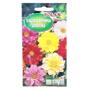 Dalia zmienna karłowa Unwins - MIX kolorów - nasiona Polan 2g