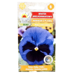 BRATEK NIEBIESKI Z PLAMĄ - fiołek ogrodowy - nasiona Toraf 0,2g