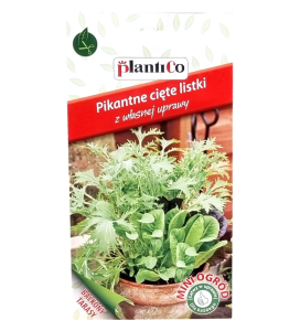 PIKANTNE CIĘTE LISTKI - cykoria, endywia, mizuna, sałata - nasiona 0,2g