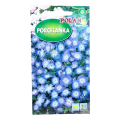 porcelanka-1.png
