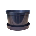 d-24niska-lofly23-1.png