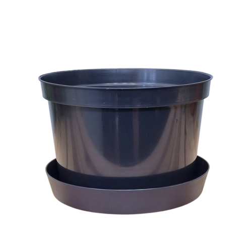 d-24niska-lofly23-1.png