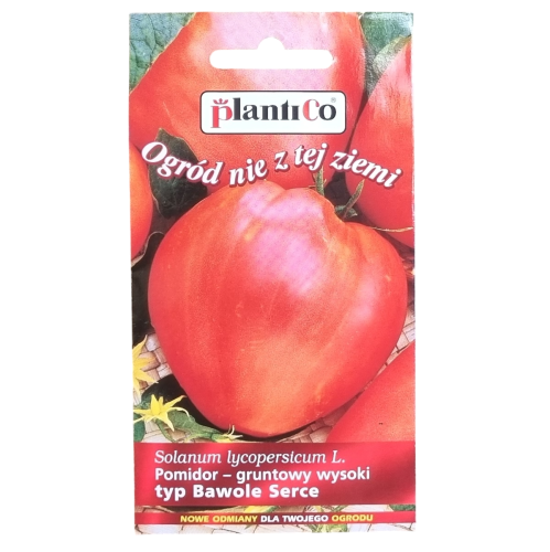 pomidor-bawole-plantico-1.png