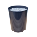 rr4-filc17-1.png