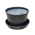 rl2-p18-filc17-1.png