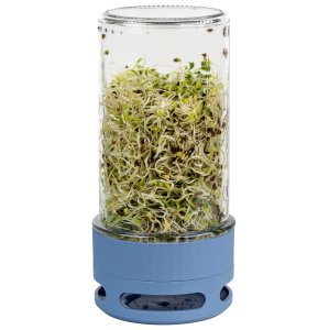 Kiełkownica słoikowa Toraf - szklane naczynie do domowej uprawy kiełków