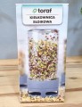 kielkownica-toraf-6.jpg