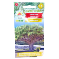 dracena-smocza-1.png